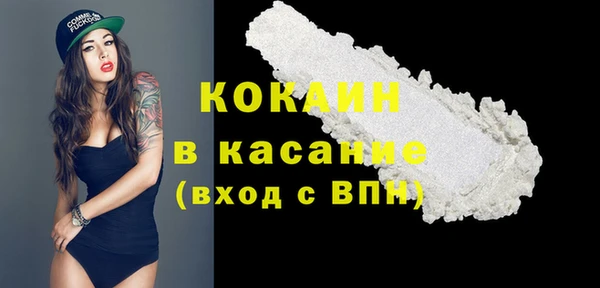 шишки Баксан