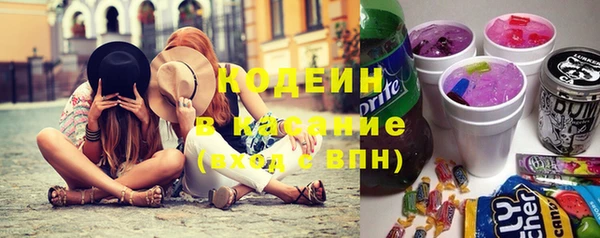 шишки Баксан