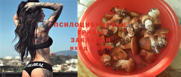шишки Баксан